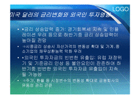 [증권시장론] 국내외 금융리스크-18