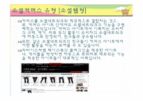 [미디어의 이해] 소셜 커머스가 미치는 사회적 기능과 개선방안-5
