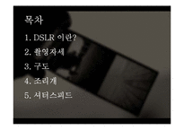[사회복지] DSLR의 기초 원격교육 자료-촬영자세, 구도, 조리개, 셔터스피드-2