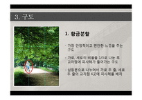 [사회복지] DSLR의 기초 원격교육 자료-촬영자세, 구도, 조리개, 셔터스피드-11