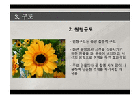 [사회복지] DSLR의 기초 원격교육 자료-촬영자세, 구도, 조리개, 셔터스피드-12