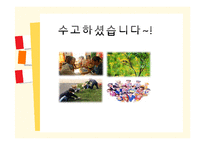 [사회복지] 한국 문헌속 지역사회복지 실천 이론과 모형-8