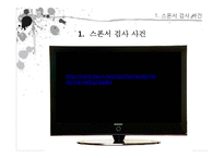 [현대사회문제] 공직과 부정부패-4