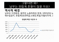 브라질의 남부지역의 지형과 기후, 인종과 인구분포, 축제와 음식, 주요관광지 조사-19