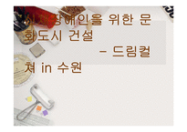 [지역사회복지] 신체 장애인을 위한 문화도시 건설-1