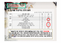 [지역사회복지] 신체 장애인을 위한 문화도시 건설-10
