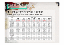 [지역사회복지] 신체 장애인을 위한 문화도시 건설-15