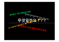 프랑스의 축제와 문화-칸, 아비뇽, 보르도 와인축제와 니스 카니발-2