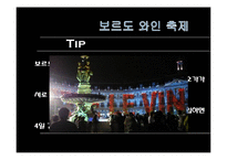 프랑스의 축제와 문화-칸, 아비뇽, 보르도 와인축제와 니스 카니발-19