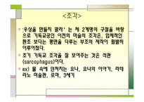 [유럽문화의 예술] 중세미술-초기기독교 미술부터 고딕양식까지-8