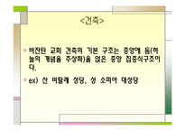 [유럽문화의 예술] 중세미술-초기기독교 미술부터 고딕양식까지-12