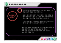 독일 영화를 통한 독일 문화의 이해-바이마르 공화국 시대와 통일 전후 영화의 특징-13