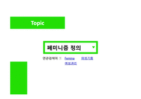 [정치학] 이데올로기 정치-페미니즘 정치의 한계와 비판-3