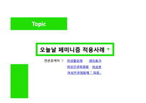 [정치학] 이데올로기 정치-페미니즘 정치의 한계와 비판-16