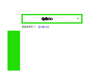 [정치학] 이데올로기 정치-페미니즘 정치의 한계와 비판-17