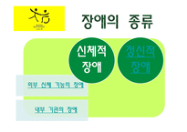 [사회복지] 장애, 재활, 장애인 복지 정책-8