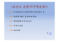 노인과 건강-노인운동프로그램-7