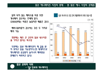 [일본문화와 사회] 경제 및 산업적 측면에서 본 일본의 애니메이션-12