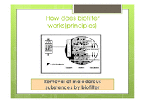 [생물공정공학] 바이오필터(Biofilter)를 이용한 공업공정 중 발생하는 유독물질 분해시 나타나는 문제점과 해결방안(영문)-5