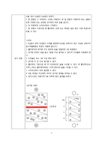 [교육학] 초등 게임 활동 지도안-농구를 이용한 영역형게임-2