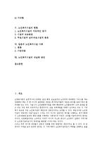 [노인복지시설]노인복지시설의 이념,유형, 노인복지시설의 노인인력지원기관,현황, 일본의 노인복지시설 사례, 노인복지시설의 내실화방안-2