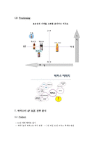 [마케팅] 박카스의 STP, 4P MiX 전략 분석-13