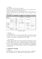 [국제마케팅] 롯데칠성의 중국진출 마케팅 전략-7
