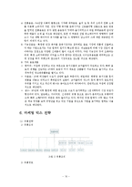 [국제마케팅] 롯데칠성의 중국진출 마케팅 전략-12