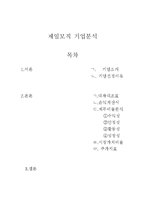 [재무관리] 제일모직 기업분석(~2010)-1