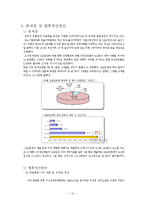 [유통환경론] SSM 기업사례와 문제점 및 개선방안-10