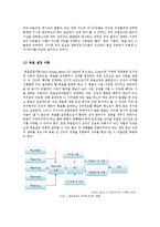[조직동기론] 영화 `Cast away`의 심리분석-동기이론을 중심으로-3