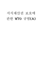 [국제통상] 지식재산권 보호에 관한 WTO 규범-1