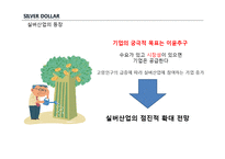 [인적자원경제학] 고령화 사회에 따른 신 소비계층의 탄생과 실버산업의 발전-7