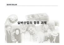 [인적자원경제학] 고령화 사회에 따른 신 소비계층의 탄생과 실버산업의 발전-15