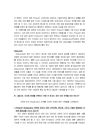 [국제경영] 필립스와 마쓰시타 경영 사례 비교-4