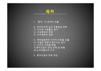 [E-비즈니스] 백화점 업계 사이버쇼핑몰 진출 사례 분석-롯데닷컴 중심으로-2