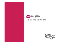 [회계원리](주)하나투어 기업분석 및 재무제표 분석(~2010)-3