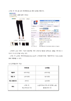 [E-비즈니스] 백화점 업계 사이버쇼핑몰 진출 사례 분석-롯데닷컴 중심으로-13