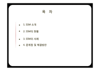 [유통환경론] SSM 현황 및 사례와 향후 발전 방안-롯데슈퍼와 홈플러스익스프레스-2