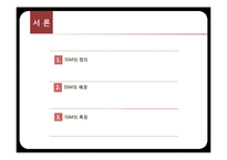 [유통환경론] SSM 현황 및 사례와 향후 발전 방안-롯데슈퍼와 홈플러스익스프레스-3