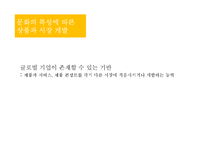 Global brand management -브랜드 포지셔닝과 마케팅 커뮤니케이션 전략-10