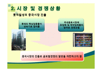 [국제마케팅] 롯데칠성의 중국진출 마케팅 전략-7