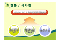 [국제마케팅] 롯데칠성의 중국진출 마케팅 전략-14