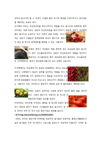 [성과 심리] `갱년기`의 정의, 증상 및 치료와 극복 방법-10
