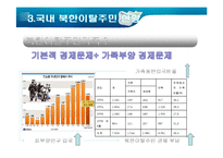 [다문화사회] 북한이탈주민가족의 경제문제와 대책에 관한 비판적 고찰-5