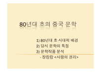 [중국문화] 80, 90년대의 중국문학-4
