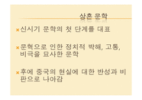 [중국문화] 80, 90년대의 중국문학-9