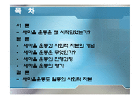[한국정부론] 새마을운동과 사회적 자본-2
