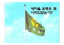 [한국정부론] 새마을운동과 사회적 자본-3