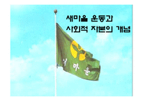 [한국정부론] 새마을운동과 사회적 자본-7